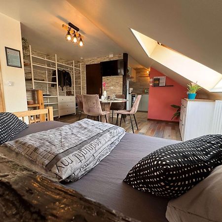 Private & Comfortable Apartments Puttelange-aux-Lacs 外观 照片
